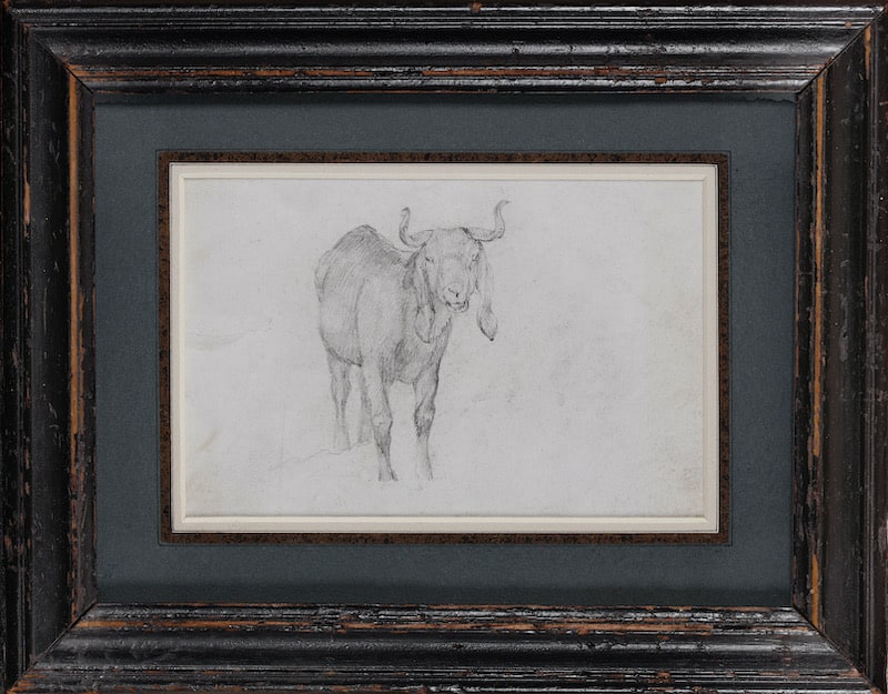 Sir Edwin Landseer, long-eared goat